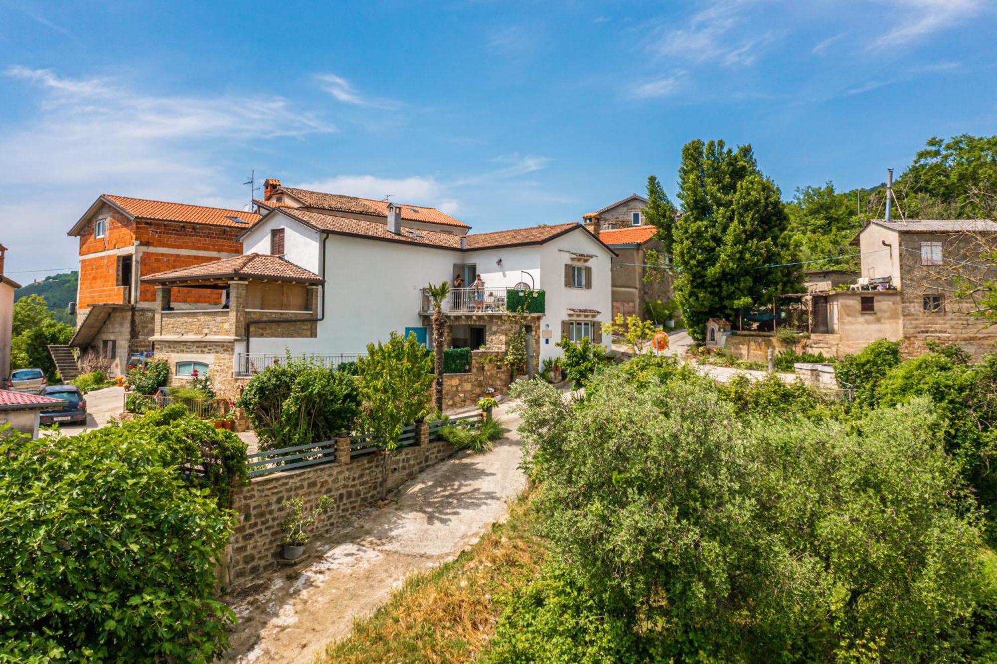 Holiday Home Belveder Motovun With Heated Pool 리바데 외부 사진
