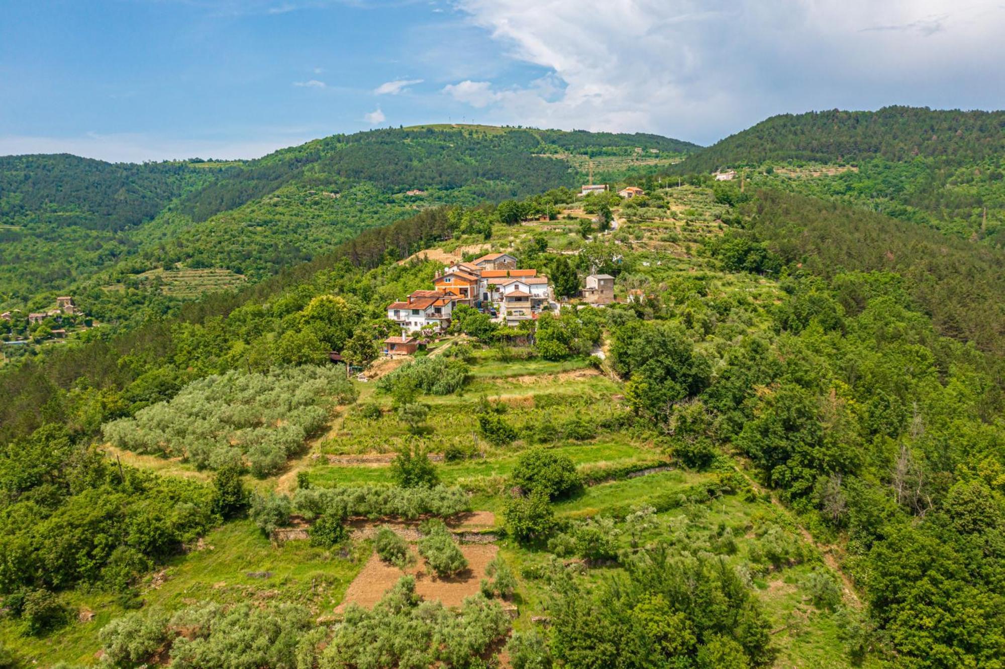 Holiday Home Belveder Motovun With Heated Pool 리바데 외부 사진