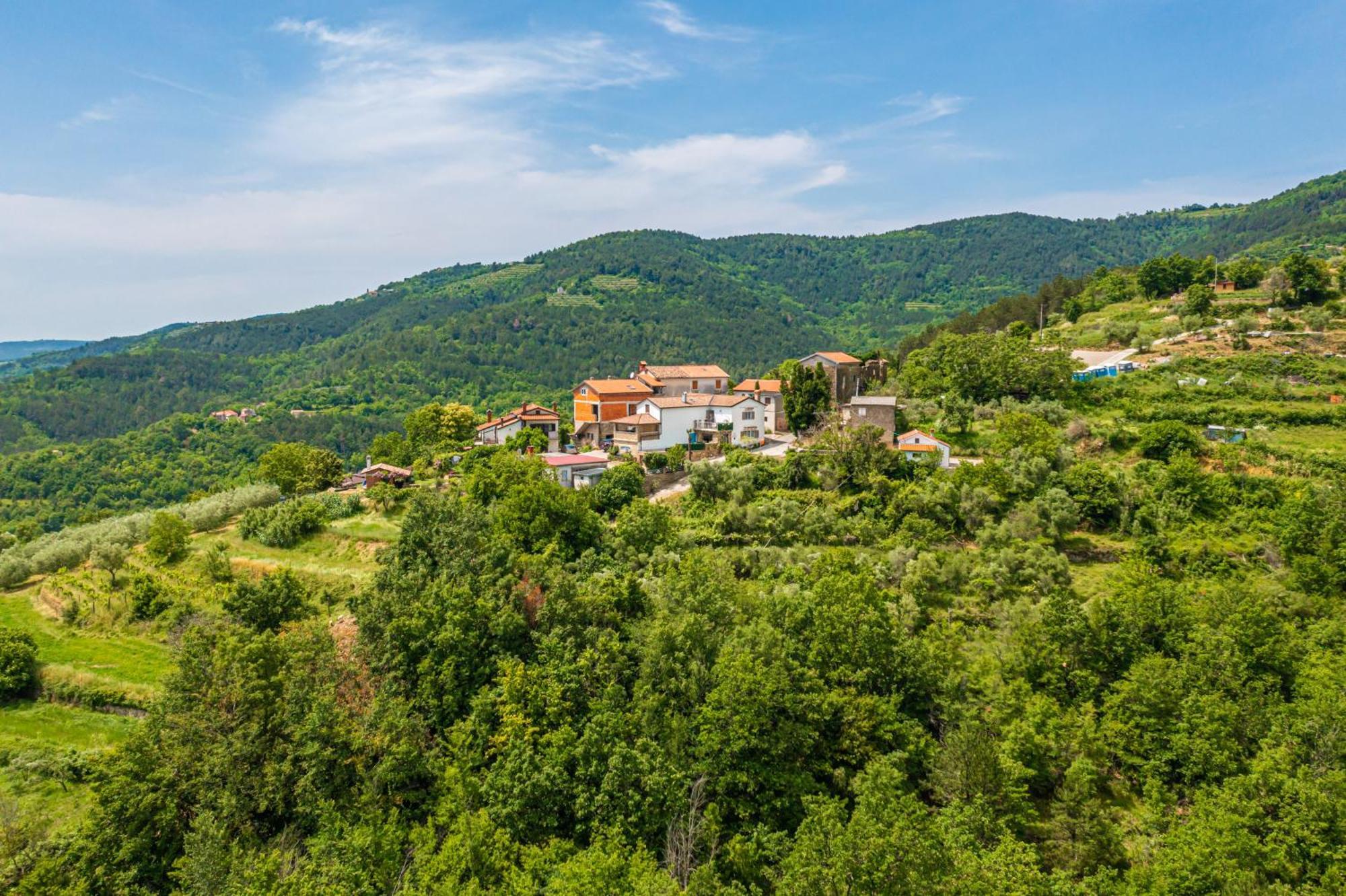 Holiday Home Belveder Motovun With Heated Pool 리바데 외부 사진