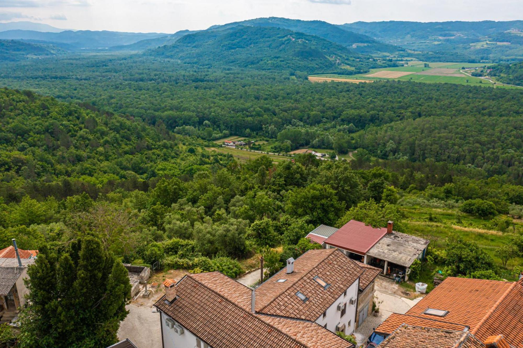 Holiday Home Belveder Motovun With Heated Pool 리바데 외부 사진
